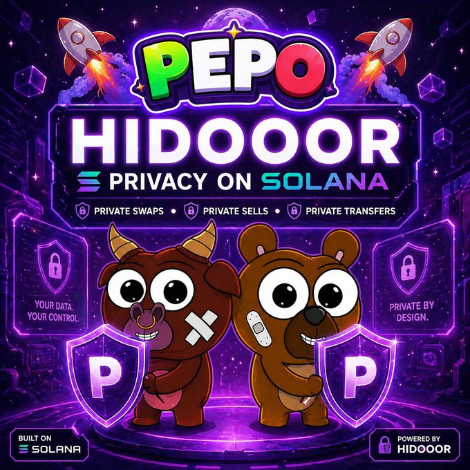 The image features two cartoon animals, a brown bear and a bull, standing next to each other with their arms wrapped around one another in front of shields. The shields have codes written on them that say "P", "H" and "I". Above the shield, there is text explaining that Hidooor Privacy Edition aims to provide privacy for personal data. In the bottom left corner of the image, there is text encouraging users to try it out: "built on Solana Hidooor".