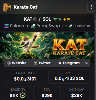 A cryptocurrency tracking interface displays the "Karate Cat" ($KAT) token priced at $0.00003101 with a market cap and FDV of $29K, traded on PumpSwap via Solana and Pump.fun. The image supports the post's promotional call hyping $KAT as the "next 100x" opportunity, showcasing its current metrics alongside links to its Website, Twitter, and Telegram.