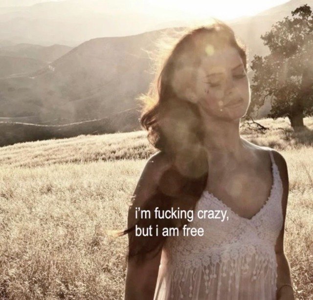 A young woman in a white lace dress stands in a sunlit golden field with mountains behind her, with overlaid text reading 'i'm fucking crazy, but i am free.'