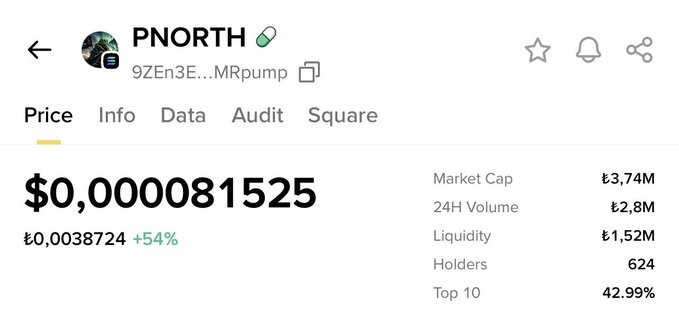 The image shows a cryptocurrency price tracker page for the token "PNORTH" (contract address starting with 9ZEn3E...MRpump) priced at $0.000081525 (£0.0038724), up 54%, with a market cap of £3.74M, 624 holders, and 42.99% held by the top 10. The screenshot illustrates the post's promotional claims about the "baby coin," showing its micro-cap status, low holder count, and high concentration among top holders—visual evidence often used in speculative coin hype to suggest the project is still early and poised for a massive rally like PEPE, FLOKI, or DOGE.
