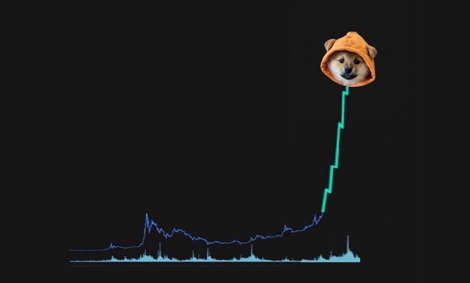 Meme showing a Shiba Inu dog wearing an orange hoodie as the Doge coin, with a price chart below showing a steep upward trajectory highlighted in green.