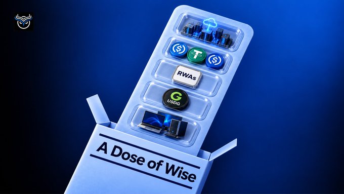 An open blue box labeled "A Dose of Wise" contains compartments displaying cryptocurrency and finance-related items, including coins labeled "$T" and "USDe", "RWAs" text, and small servers.