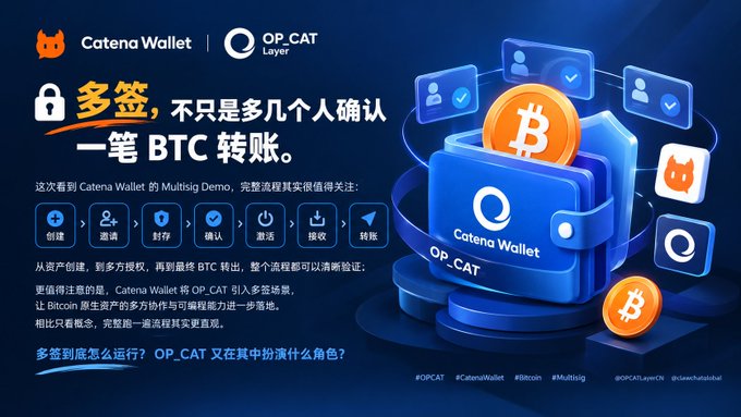 A promotional graphic for 'Catena Wallet' and 'OP_CAT Layer' discussing multi-signature BTC transfers in Chinese and English.