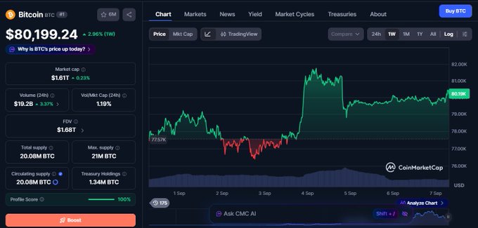 A CoinMarketCap chart shows Bitcoin (BTC) trading at $80,199.24, down 2.95% for the week, displaying market cap, volume, FDV, supply stats, and a 7-day price graph.
