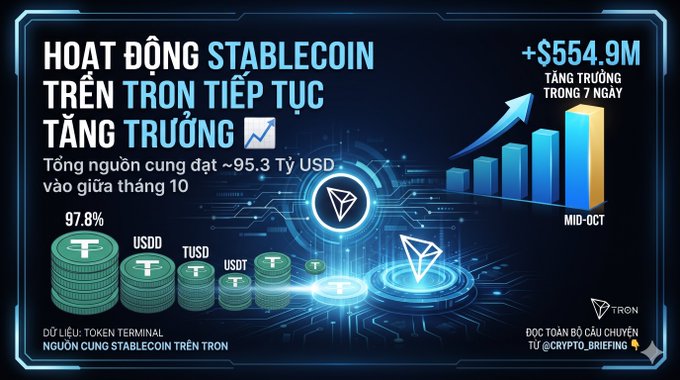 A Vietnamese-language infographic titled 'HOẠT ĐỘNG STABLECOIN TRÊN TRON TIẾP TỤC TĂNG TRƯỞNG' showing total stablecoin supply on Tron reaching ~$95.3 Billion USD by mid-October, with a +$554.9M growth in 7 days.