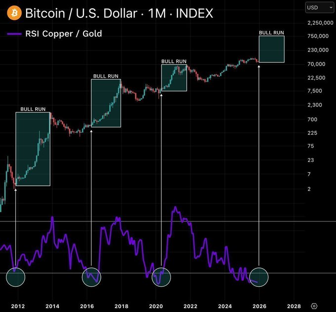 A logarithmic financial chart titled 'Bitcoin / U.S. Dollar · 1M · INDEX' featuring an overlaid 'RSI Copper / Gold' indicator in purple, with four highlighted 'BULL RUN' boxes pointing to major historical price spikes.