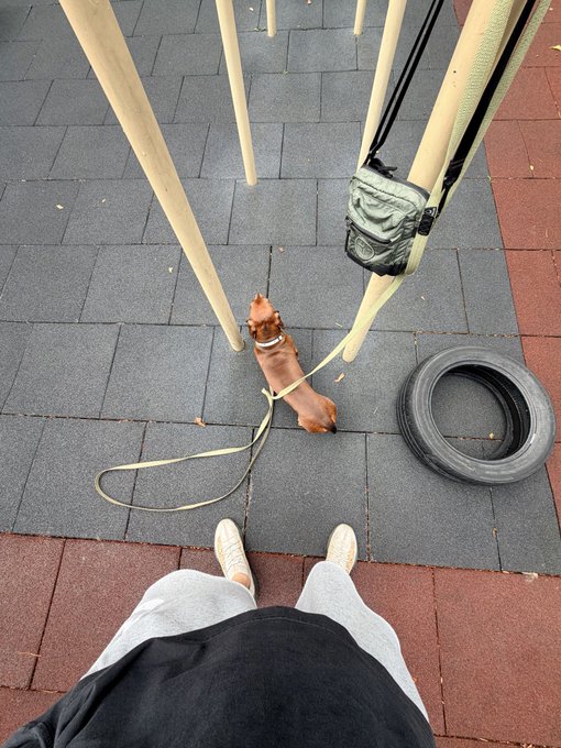 A first-person perspective looking down at a small brown dog tied with a leash to a wooden post structure, standing next to a black tire on a tiled pavement, with the person's legs and white sneakers visible at the bottom.