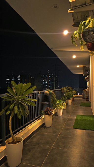 A dimly lit balcony at night features a row of potted plants, including a prominent leafy plant in the foreground, with city lights twinkling in the distance under a covered patio.

The image relates to the "GN" (good night) caption by showcasing a peaceful, nighttime balcony scene that evokes a tranquil end-of-day atmosphere perfect for saying goodnight.