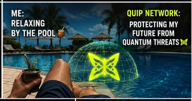 The image shows a person lounging by a swimming pool at night. The background includes palm trees that sway under a starlit sky. In the foreground, there's an advertisement for Quip Network that promotes relaxation, protection of personal information while on the go, and the future from Quantum threats.