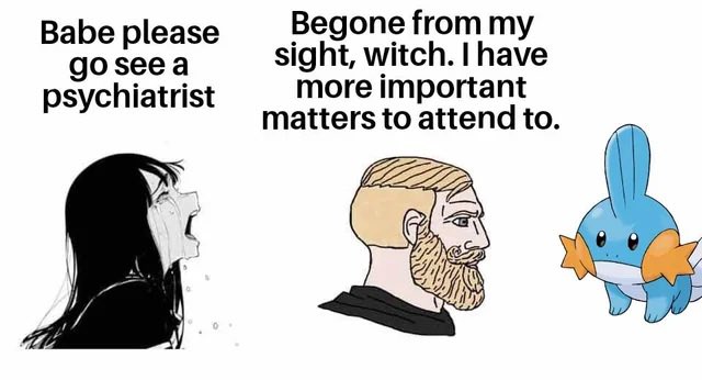 A Wojak meme featuring three characters: a crying woman labeled 'Babe please go see a psychiatrist,' a Nordic 'Chad' figure declaring 'Begone from my sight, witch. I have more important matters to attend to,' and a Mudkip Pokémon.