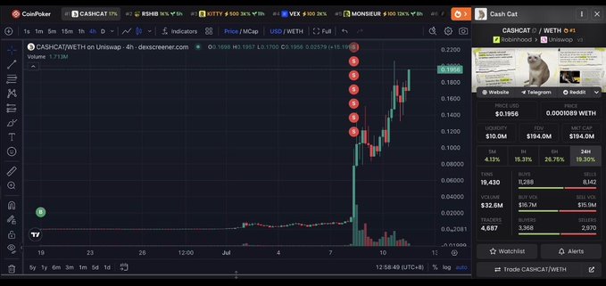 The image displays the price chart for CASHCAT/WETH on Uniswap, showing a significant surge in value around July 8th and 10th, with key metrics like Price USD at $0.1956 and Market Cap at $194.0M. This visual complements the post's narrative of a small investment in CASHCAT yielding a massive profit.