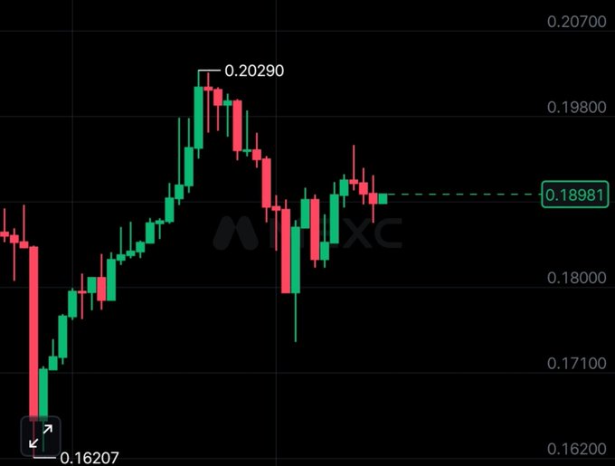 A financial candlestick chart from MEXC showing price movements between 0.16207 and 0.20290, with a current level marked at 0.18981.