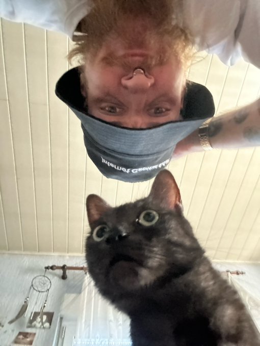 An upside-down selfie of a person wearing a backwards cap alongside a black cat, taken in what appears to be a bathroom with a dreamcatcher visible.