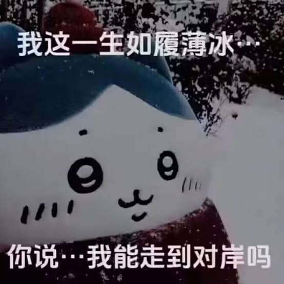 Meme featuring the Chiikawa character with Chinese text reading '我这一生如履薄冰…你说…我能走到对岸吗' (My life has been like walking on thin ice... do you think I can make it to the other shore?).
