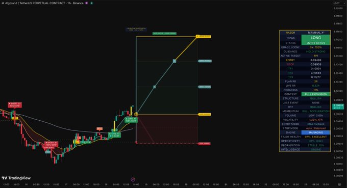 TradingView chart showing Algorand/TetherUS perpetual contract with a long entry strategy displayed via the RAIOR Terminal X1 indicator, showing entry at 0.08965 and various take profit targets up to 0.10766.