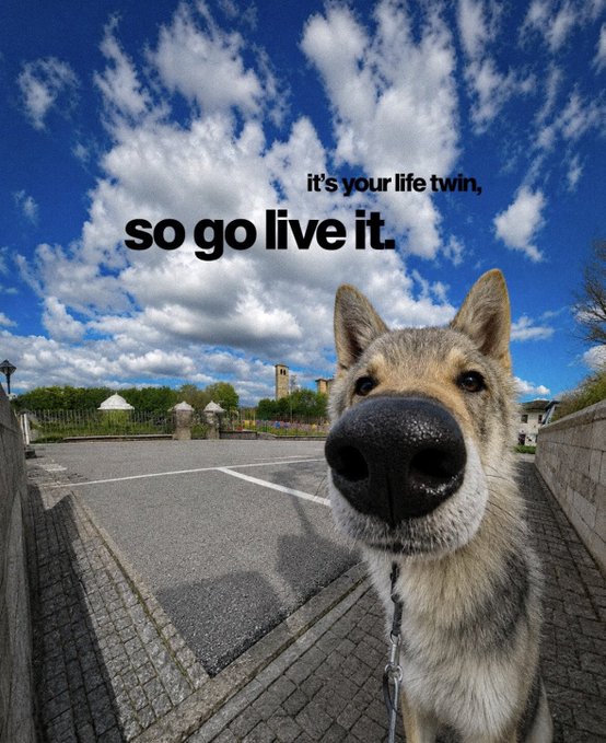 A close-up photo of a German Shepherd dog's nose taken with a wide-angle or fisheye lens, with the motivational text 'it's your life twin, so go live it.' overlaid on a cloudy blue sky above a parking lot.