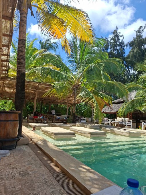 A sunny tropical resort scene featuring palm trees, thatched-roof structures, lounge chairs beside a turquoise pool, and a wooden barrel with a thatched umbrella in the foreground.