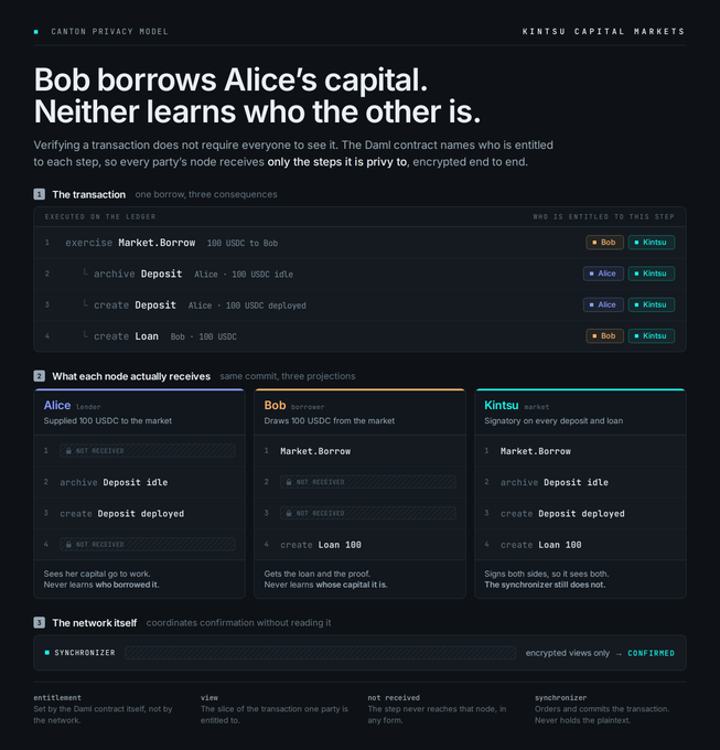 The image is a technical diagram titled "Bob borrows Alice's capital. Neither learns who the other is," illustrating Canton's privacy model in capital markets where a 100 USDC borrowing transaction is broken into four steps (Market.Borrow, Deposit idle/deployed, Loan), each only delivered to entitled parties—Alice (Lender), Bob (Borrower), and Kintsu (Market)—while the Synchronizer confirms the transaction through encrypted views without reading them. This visual supports the post's argument that privacy and institutional verification are compatible: regulators and counterparties can confirm transaction steps they are entitled to, while sensitive counterparty details remain hidden, making privacy a structural requirement rather than a barrier to oversight.