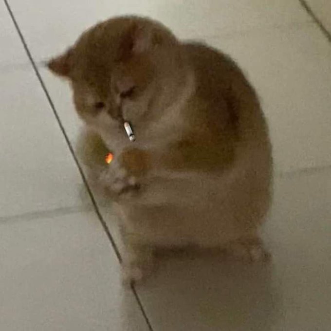 A blurry photo of a chubby beige cat sitting on a tiled floor, holding a cigarette in its paws with the lit ember glowing orange.