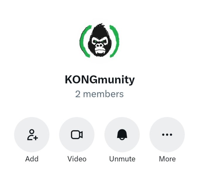 A chat or community interface header titled 'KONGmunity' featuring a gorilla logo in green brackets, showing '2 members' and buttons for Add, Video, Unmute, and More.