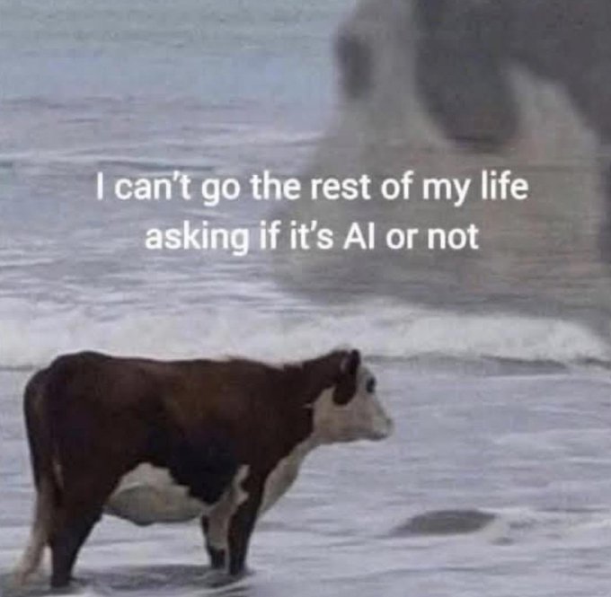 A brown and white cow stands in shallow ocean water with text overlay reading "I can't go the rest of my life asking if it's AI or not," referencing the uncertainty of distinguishing AI-generated images from real photos.