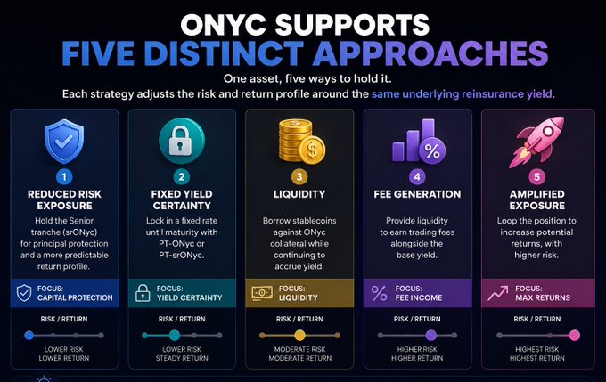 An infographic titled 'ONYC SUPPORTS FIVE DISTINCT APPROACHES' detailing financial strategies with columns for 'REDUCED RISK EXPOSURE', 'FIXED YIELD CERTAINTY', 'LIQUIDITY', 'FEE GENERATION', and 'AMPLIFIED EXPOSURE'.