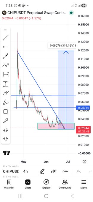 A TradingView chart showing the CHIPUSDT Perpetual Swap contract with a price of 0.02944, down 1.57%, and a marked potential gain of 319.16%.