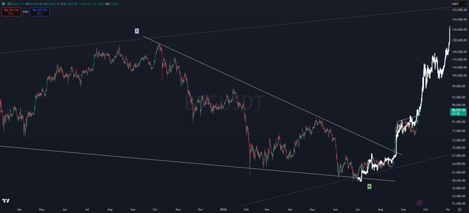 A Bitcoin/USD candlestick chart on TradingView displays BTC's price action over 18 months (April 2023 to December 2024), showing a falling wedge pattern breakout with prices surging past $96,000, visually supporting the post's bullish thesis that institutional buying is accelerating and FOMO will intensify once Bitcoin reclaims the $100K level.