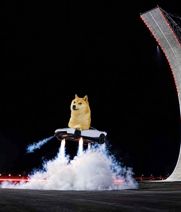A humorous digitally edited image showing a Shiba Inu dog driving a flying DeLorean car with rocket thrusters, reminiscent of Back to the Future, soaring in front of a large ramp at night.