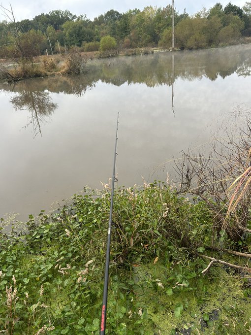 A photograph of a fishing rod extending over a calm lake or river, with green vegetation in the foreground and trees reflected in the still water under an overcast sky.