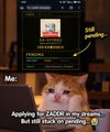 A Mac desktop screenshot shows a trading application called 'ZAOR' with a meme coin labeled 'ZCASH' in red, alongside a caption about a doge meme getting stuck.