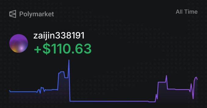 A Polymarket profile screen showing user 'zaijin338191' with earnings of '+$110.63' and an 'All Time' performance graph.