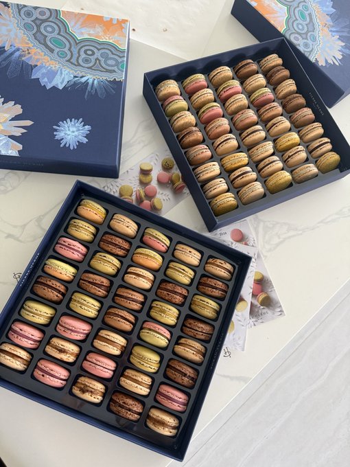 When customs asks: do you have any food to declare? This image shows a decadent selection of macarons in a Pierre Hermé box, hinting at a delightful, and perhaps undeclared, treat.