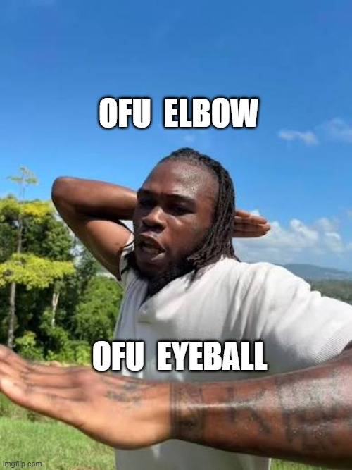 A meme shows a man with dreadlocks with text reading 'OFU ELBOW' at the top and 'OFU EYEBALL' at the bottom, sourced from imgflip.com.