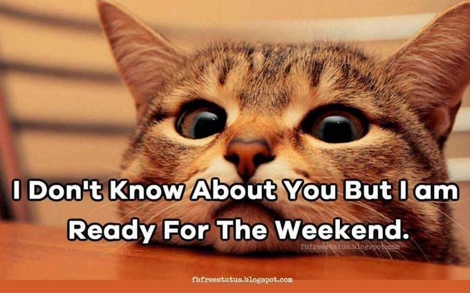 A wide-eyed tabby kitten meme with text reading 'I Don't Know About You But I am Ready For The Weekend.' from fbfreestatus.blogspot.com.