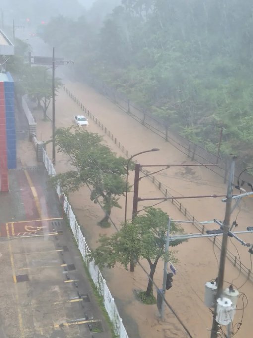 Muddy floodwaters from heavy rainfall have submerged a road in Ulsan Dong-gu (울산 동구), South Korea, with only a single white car visible driving through the brown, churning water as trees and utility poles stand partially submerged along the street. The image illustrates the post's observation that the area is flooding extensively in multiple locations.