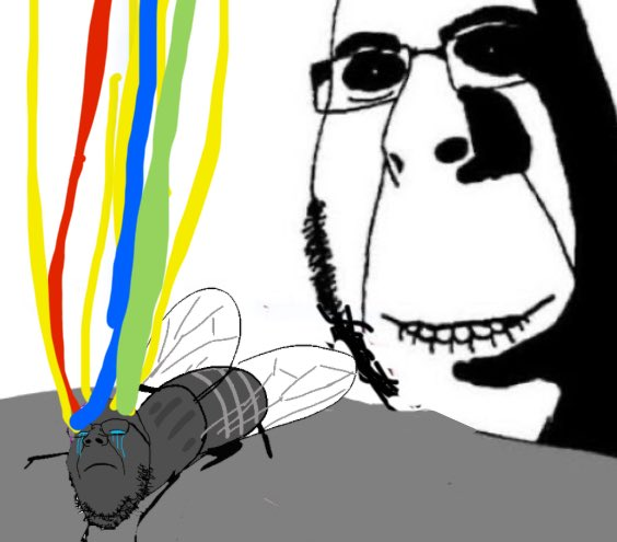 A crudely drawn cartoon shows a crying fly tethered to colorful wires/cables emerging from its head, with a large grinning "soyjak"-style figure looming behind it—visually depicting the absurd concept of needing a "launchpad for fruit fly brain harnesses" as a setup for experimental neuroscience (or AI/neuro research) jokes.