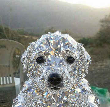 A sparkling diamond-encrusted dog sculpture glitters against a misty mountainous backdrop, serving as a visual metaphor for the post's message about recognizing undervalued gems before the market catches on, with references to "$nobody" and "$jotchua" tickers.