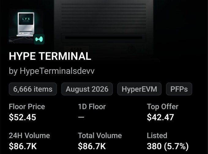 A dark-themed NFT marketplace listing for 'HYPE TERMINAL' by HypeTerminalsdevv, showing 6,666 items from August 2026 on HyperEVM, with a floor price of $52.45 and a top offer of $42.47.