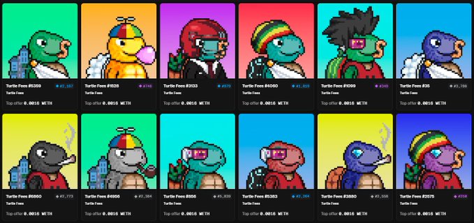 A grid of twelve pixel-art turtle collectibles (numbered #5300-#5307) are displayed for sale with prices in ETH, listing 'Top offer 0.0815 WETH' on each.
