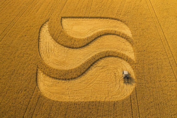 An aerial view shows a large combine harvester cutting an 'S' shaped path through a vast, golden wheat field.