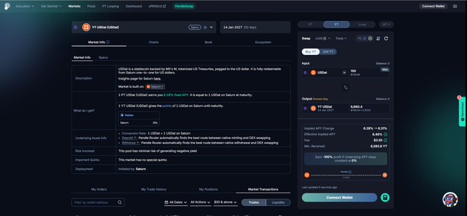 A dark-themed cryptocurrency trading interface displays a USDT/USD market info page, showing detailed specifications including the SATOSHI ticker and various swap parameters.