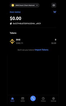 A screenshot of the Wats Wallet app interface showing a BNB Smart Chain Mainnet wallet with a $0.00 balance, no BNB tokens, and an option to import tokens. The post highlights how Wats Wallet simplifies Web3 multichain usage by allowing users to pay gas fees on EVM, Solana, and TON networks using $ATS instead of native tokens like ETH, BNB, SOL, or POL.