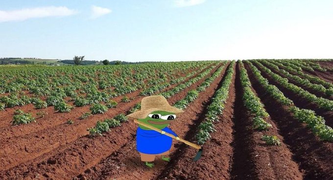A Pepe the Frog character dressed as a farmer in a straw hat and blue overalls tends to rows of crops in a vast agricultural field. The image humorously illustrates the "farming" concept referenced in the post about NFT airdrops and cryptocurrency investments.