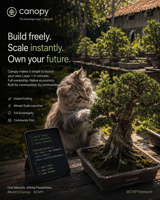 A serene bonsai garden scene features a fluffy tabby cat tending to a potted bonsai tree beside a small chalkboard displaying code-like text reading "// build freely // own completely // scale endlessly" and "let chain = new Canopy(); chain.fork(); chain.launch(in_minutes);". The Canopy logo and the tagline "The Sovereign Layer 1 Network" appear at the top, with the headline "Build freely. Scale instantly. Own your future." and hashtags #BuildOnCanopy $CNPY at the bottom—visually reinforcing the post's message about providing the foundational infrastructure needed to transform Web3 ideas into scalable reality.