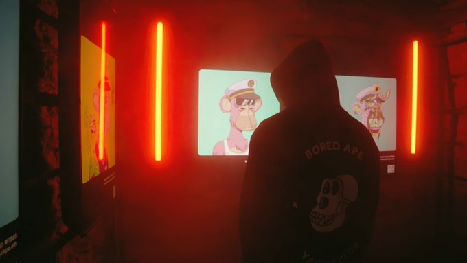 A person wearing a black 'Bored Ape Yacht Club' hoodie standing with their back to the camera, looking at a screen displaying Bored Ape NFT artwork in a room lit by red neon lights.