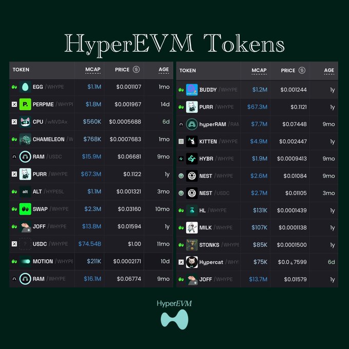 A dashboard titled 'HyperEVM Tokens' listing various cryptocurrencies including EGG, PERPME, GPU, CHAMELEON, RAM, PURR, ALT, SWAP, JOFF, USDC, MOTION, BUDDY, hyperRAM, KITTEN, HYBR, NEST, HL, MILK, STONKS, and Hypercat with their market caps, prices, and ages.