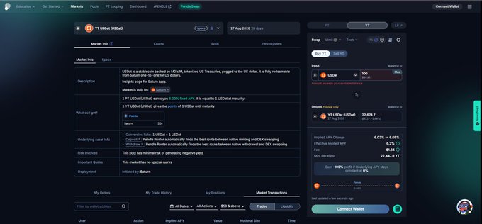A cryptocurrency trading platform interface displays the YT/USDe market information, showing details, swap options, and an APY of 6.08%, with a 'Connect Wallet' button.