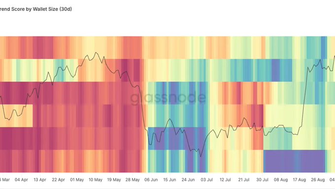 A cryptocurrency trend analysis chart titled 'Trend Score by Wallet Size (30d)' from glassnode, displaying a heatmap of colors from purple/red to blue/green with a black line graph overlaid, spanning dates from late March to late August.