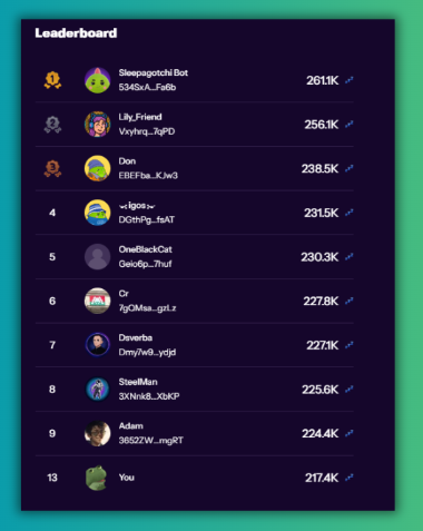 A dark-themed leaderboard ranking showing top users with names like 'SleepagotchiBot' (261.1K), 'Lily_Friend' (256.1K), and 'Don' (238.5K), with the user 'You' ranked 13th at 217.4K.